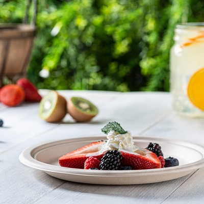 Biodegradable Bagasse Disposable Plates For Birthday Wedding Picnic